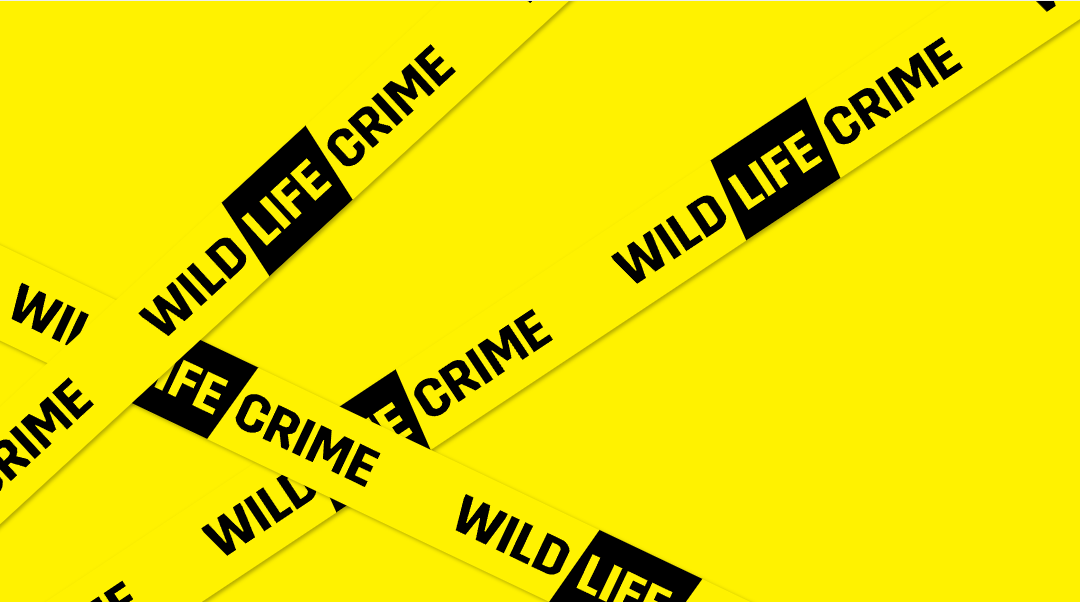 wildLIFEcrime