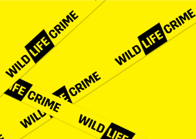 wildLIFEcrime