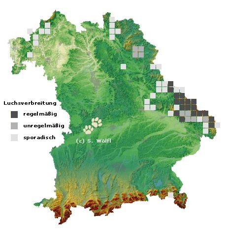 Luchsvorkommen in Bayern (2018) Karte zum Luchsvorkommen in Bayern (2018)