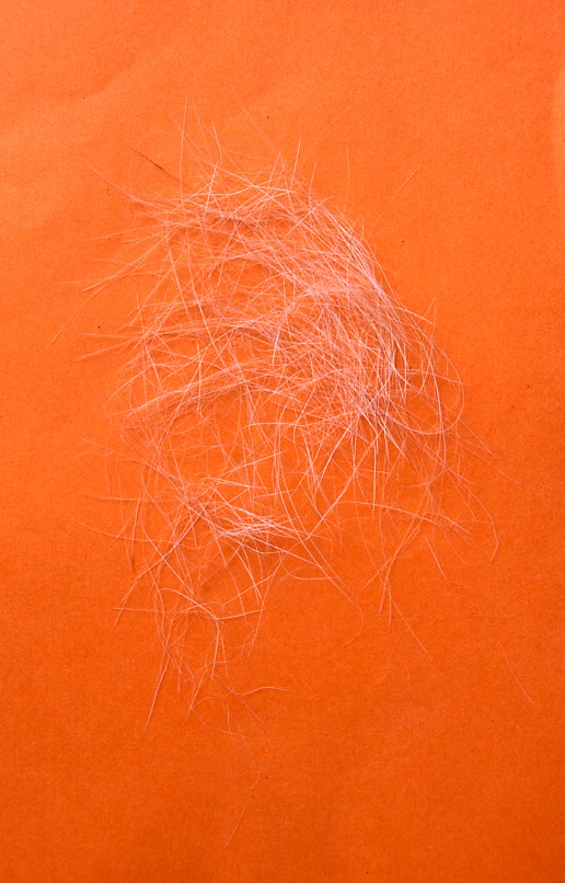 Luchshaare sind land und weich, vorallem am Bauch.