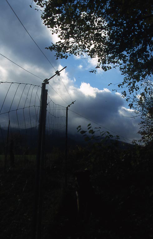Elektrodr&auml;hte sch&uuml;tzen den Zaun vor &Uuml;berklettern.