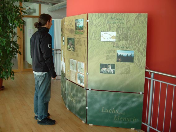 Ausstellung zum Luchs