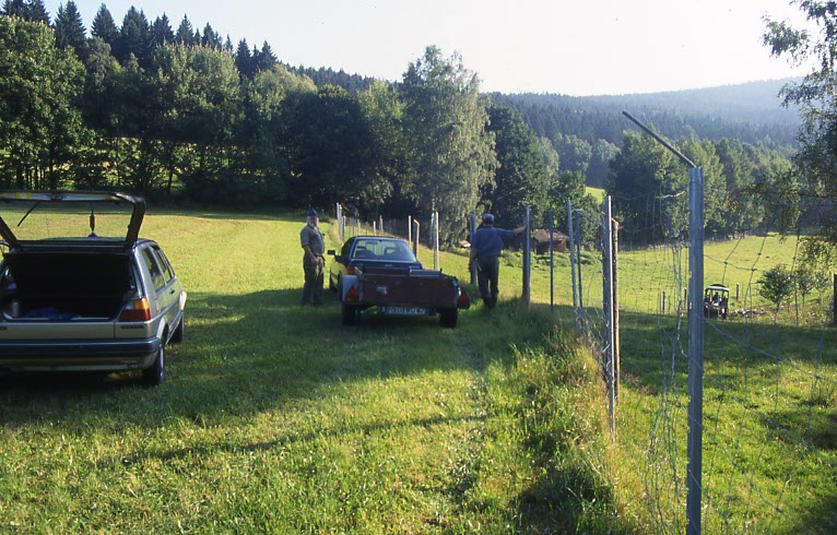 Schutz eines Wildgeheges durch Winkelaufs&auml;tze